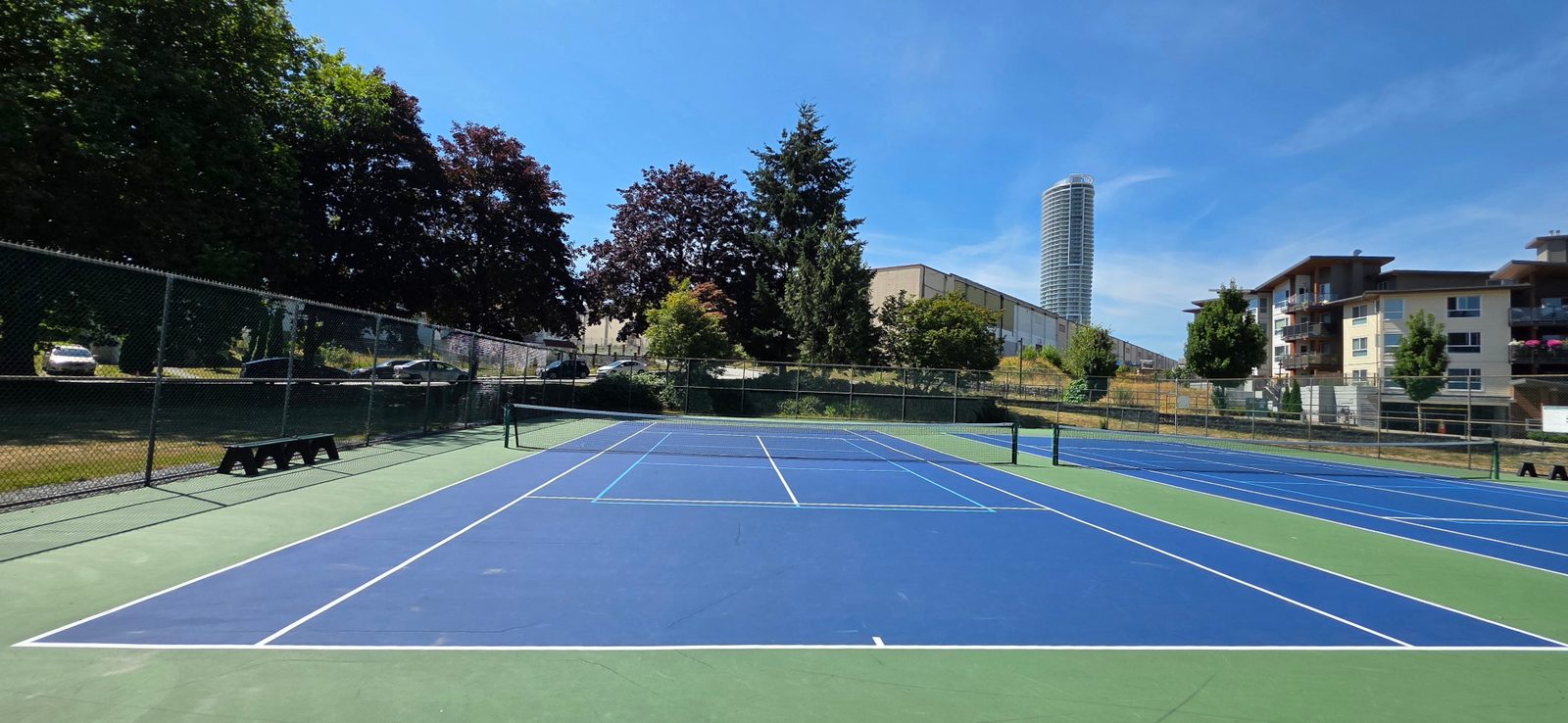 Blue shared tennis and pickleball courts at Ernie Winch Park, apartments and a tower behind.